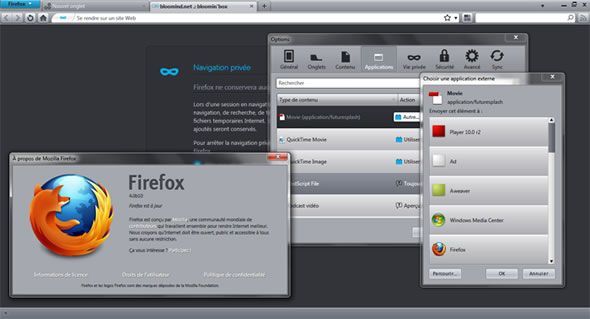 Bloomind FT Graphite Glow, thème visuel pour Firefox 4