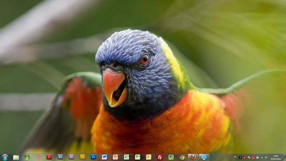 Capture d'écran - Magnifiques oiseaux thème visuel officiel pour Windows 7