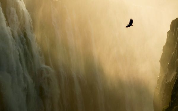 Eagle & Waterfall - Apple Wallpaper