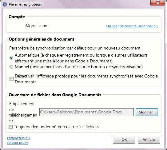 Capture d'écran - Google Cloud Connect dans Office 2010, options