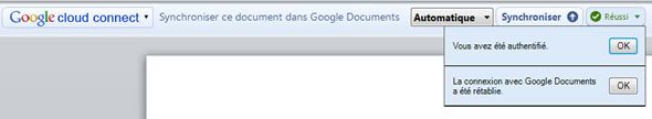 Capture d'écran - Google Cloud Connect dans Office 2010