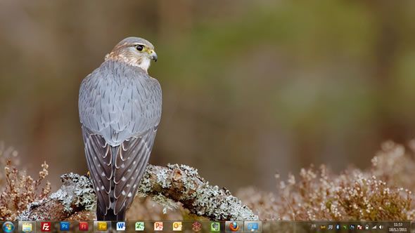 Capture d'écran - Rapaces, thème visuel officiel Windows 7