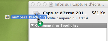 Capture d'écran - Remplacement de l'icône par défaut d'un fichier sous Mac OS X