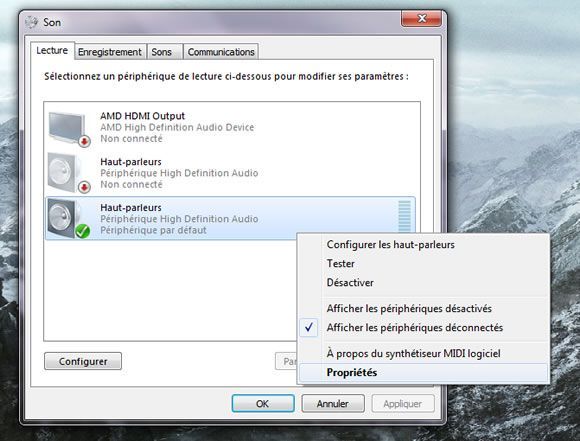 Capture d'écran - Propriétés des hauts parleurs sous Windows 7