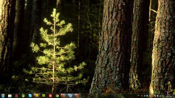 Capture d'écran - Jeunes arbres, thème visuel officiel Windows 7
