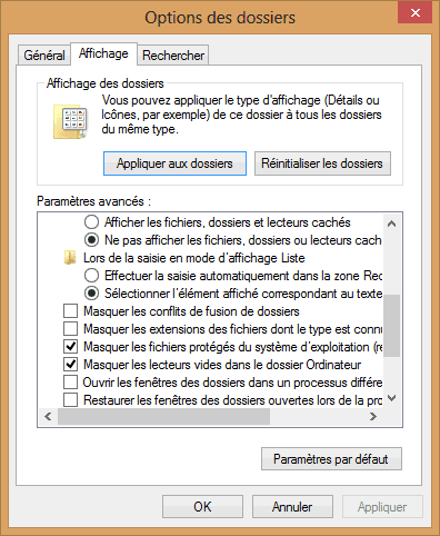 Capture d'écran - Options des dossiers, onglet Affichage sous Windows 8