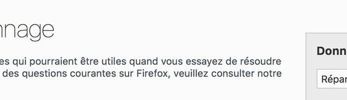 Catpure d'écran - About:support - Firefox