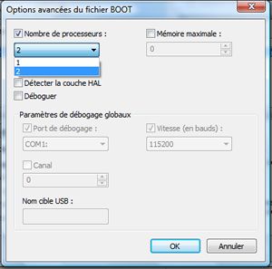 Capture d'écran - Options avancées du fichier BOOT