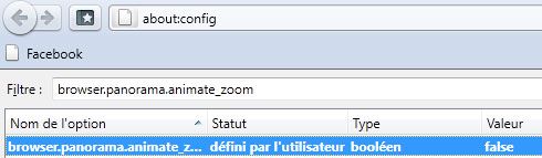 Capture d'écran - Firefox 4, modification de browser.panorama.animate_zoom