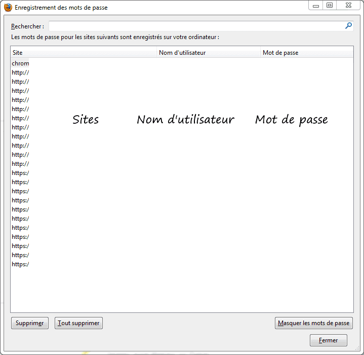 Capture décran - Liste des sites, noms dutilisateurs et mots de passe enregistrés dans votre profil Firefox