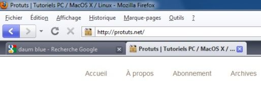 Capture d'écran - Thème Firefox, Daum Blue