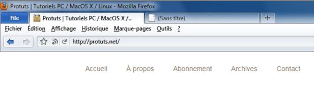 Capture d'écran - Thème Firefox, TwentyTenBuddy (2010)