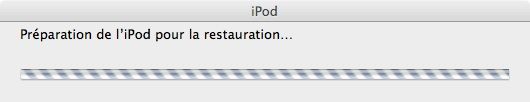 Capture d'écran - Remise à zéro de l'iPod touch