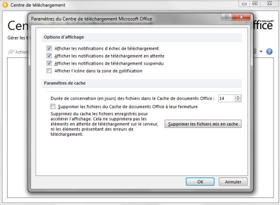 Capture d'écran - Paramètres du Centre de téléchargements sous Office 2010