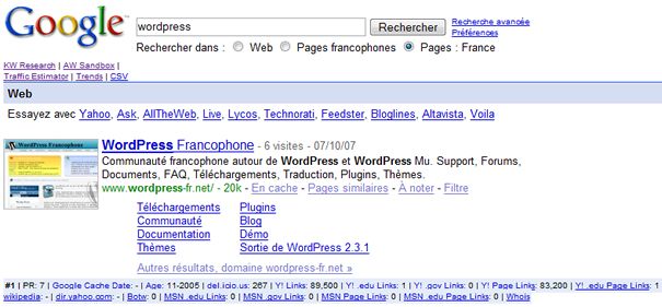 Capture d'écran - SEO for Firefox en action dans Google