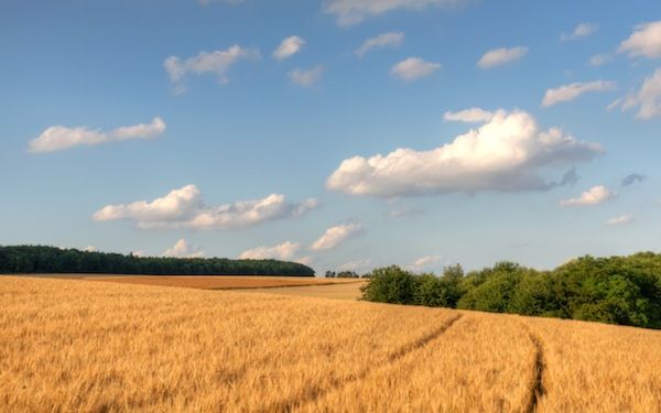 Fond d'écran - Blissful Late Afternoon