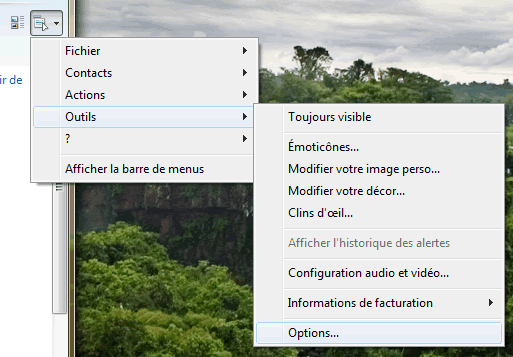 Capture d'écran - Accès aux options de Windows Live Messenger