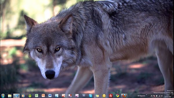 Capture d'écran - Thème Wolves pour Windows 7